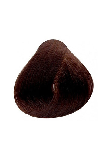 Phyto Color 4 Chestnut