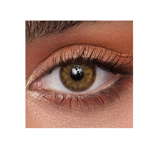 EYEKISS High End by Fransis Hawlly – Luxurious Brown Yearly Lenses