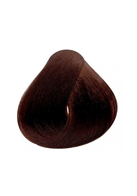 Phyto Color 4 Chestnut