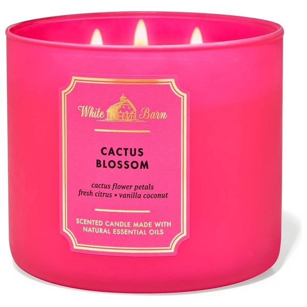 باث آند بودي وركس كاكتوس بلوسوم شمعة معطرة