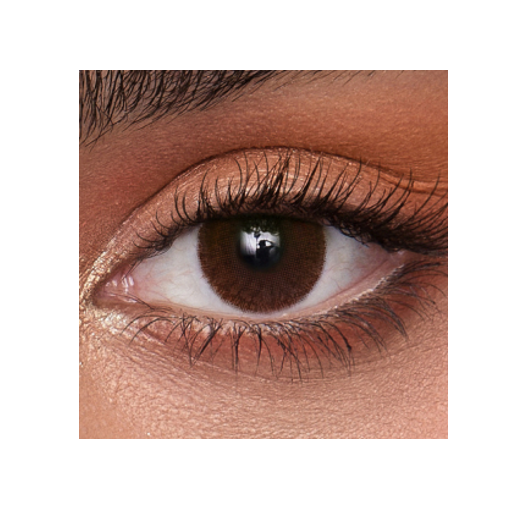 EYEKISS Sun Kissed by Fransis Hawlly – Dark Chocolate Brown Yearly Lenses
